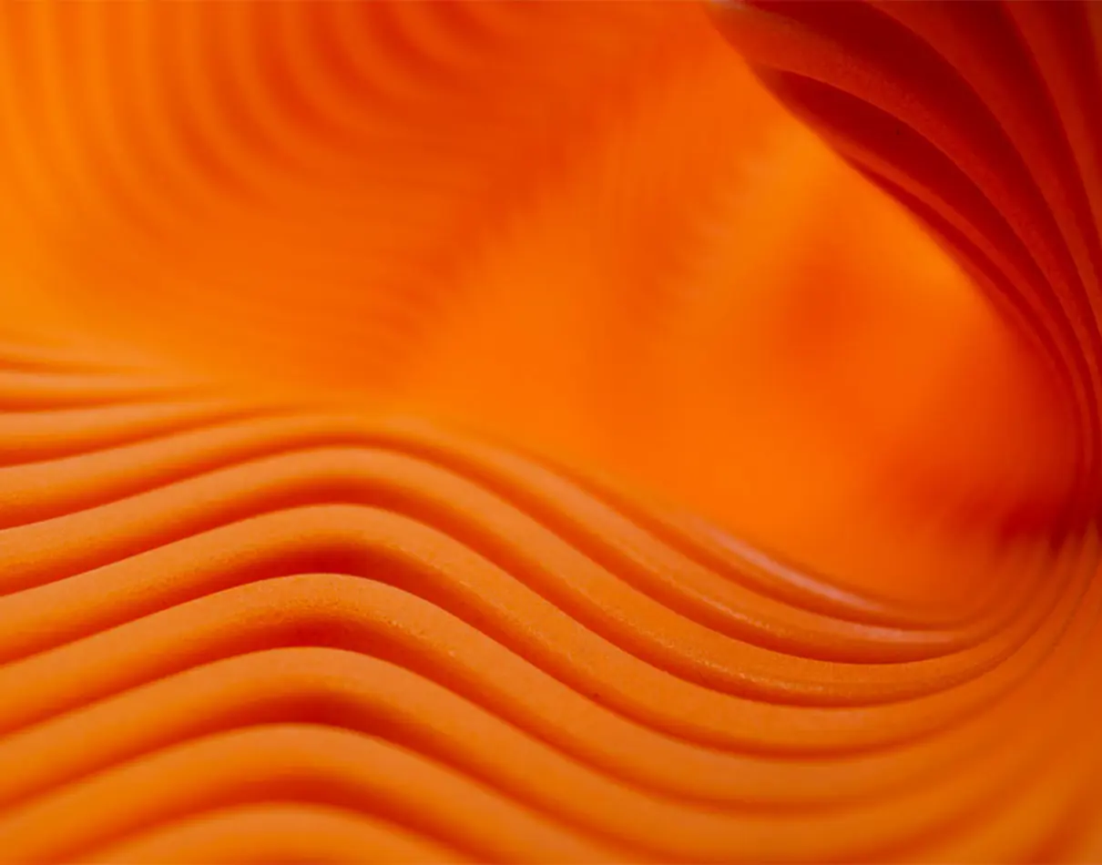 Terms and Conditions