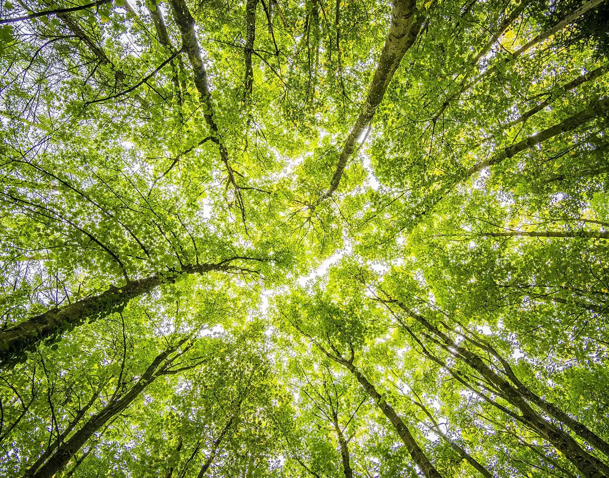 Sustainability at D3O